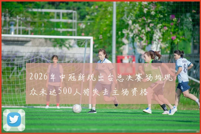 2026年中冠新规出台总决赛场均观众未达500人将失去主场资格