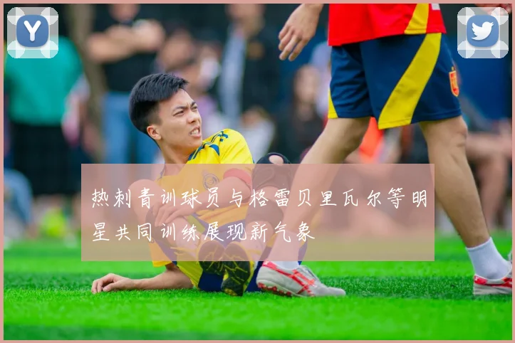 热刺青训球员与格雷贝里瓦尔等明星共同训练展现新气象