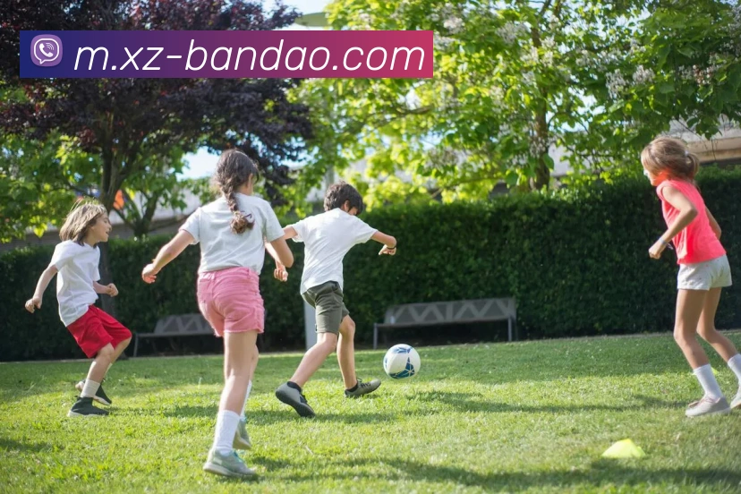 英媒报道吉马良斯因伤缺阵纽卡接下来的强敌包括维拉和巴黎等球队